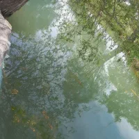 باغ۷۰۰متری|فروش زمین و ملک کلنگی|شبستر, |دیوار