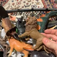 حیوانات جنگل