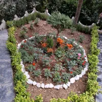 خدمات باغبانی باغچه کاری تعویض خاک باغچه