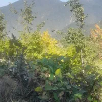 لوازم آشپز خانه