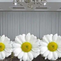 پرده حریر شاین دار