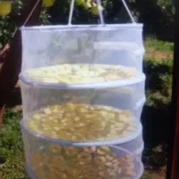 توری میوه خشک کن