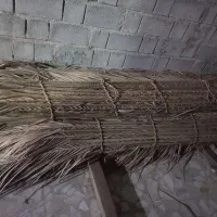 سوند  ۶ میدان و پاتک|خدمات باغبانی و درختکاری|میناب, |دیوار