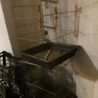 قفس سایز بزرگ ضخیم ارزون