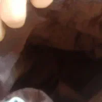 کیف مدرسه|کفش و لباس بچه|اصفهان, گورتان|دیوار