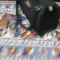 انواع کیف زنانه و کفش بچه‌گانه|کیف، کفش، کمربند|مشهد, طبرسی شمالی|دیوار