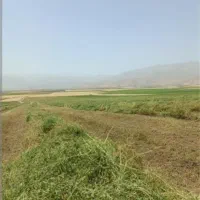 فاز 4فرهنگیان