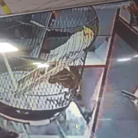 گمشده عروس هلندی زرد