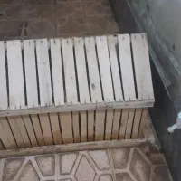 قفس