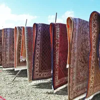 قالیشویی حسابی