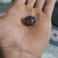 مهره پلاک گردنی