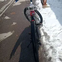 دوچرخه ۲۹|دوچرخه، اسکیت، اسکوتر|باسمنج, |دیوار