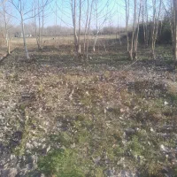 زمین-552-متر-باغی-سنگر