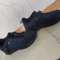 کفش|کیف، کفش، کمربند|زنجان, |دیوار