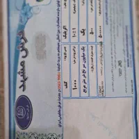 فرش ۶ متری و گلیم ۴ متری|فرش|تهران, جمهوری|دیوار