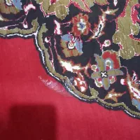 یک عدد فرش ۱۲متری|فرش|ایلام, |دیوار