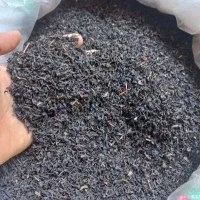 چای  سیاه ممتاز ۱۴۰۵
