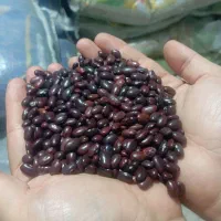 لوبیا چیتی و لوبیا قرمز