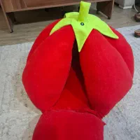 خونه گربه گوجه ای|لوازم جانبی حیوانات|مشهد, چهارچشمه|دیوار