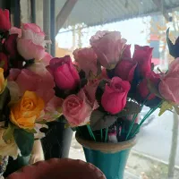 گل مصنوعی|گل مصنوعی|شاندیز, |دیوار