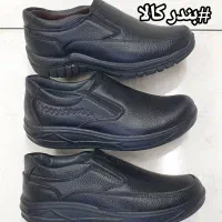 پخش عمده وتکی کفش چرم شبرو و اسپرت|کیف، کفش، کمربند|قروه, |دیوار