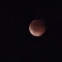 انجام پروژه های دانشجویی معماری