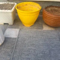 گلدان سرامیکی|گل و گیاه طبیعی|تهران, حکیمیه|دیوار