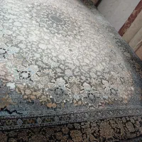 فرش ولوازم درحد سالم|فرش|تنکابن, |دیوار