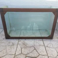 آکواریوم|ماهی|یزد, |دیوار