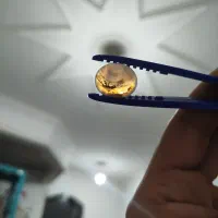 شجر درخت قائن