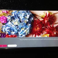 تلویزیون ۴۳ اینچ ال‌جی نو نو سالم سلامت