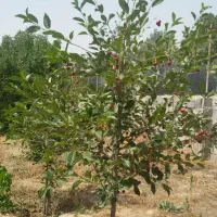 فروش دفتر تجاری