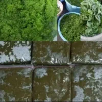 سبزی خورشتی