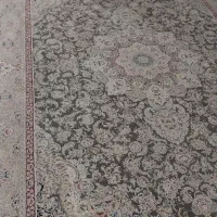 فرش 6متری 19ملیون