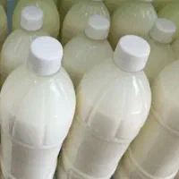 دوغ محلی تلمی