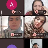 کار آنلاین در خونه