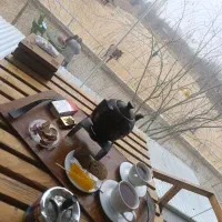 نیرو باریستا و آشپز فست فود و ظرفشور‌،سالن دار