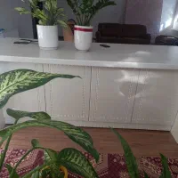 کابینت و جزیره|مصالح و تجهیزات ساختمان|اراک, |دیوار