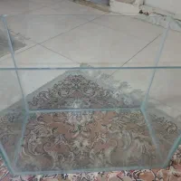 اکواریوم