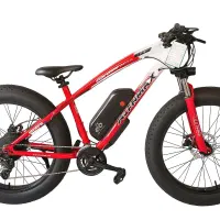 دوچرخه برقی فت-بایک Alenmax مناسب کوهستان و شهر|دوچرخه، اسکیت، اسکوتر|تبریز, |دیوار