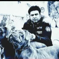 چاوچاو کن کرسو فروشی قفقازی درجه یک|سگ|کرج, فاز ۱ مهرشهر|دیوار