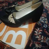 کفش مجلسی در اشتهارد