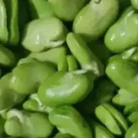 باقلا دو پوسته