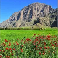 تشکل گروه طبیعت گردی