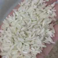 برنج ایرانی ارزان