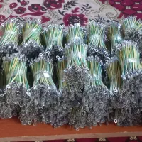 سرسیم ارت برد   ۱۰سانتی