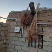 جارو|عمده‌فروشی|زنجان, |دیوار