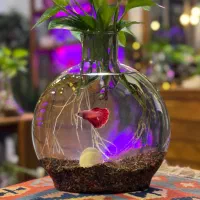 گلدان های شیشه ای به همراه ماهی (کادویی)