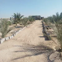 باغ شهری روستای میاندشت جنب سردخانه داردان