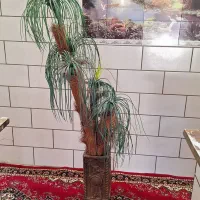 فروش وسایل منزل|حراج|فسا, |دیوار